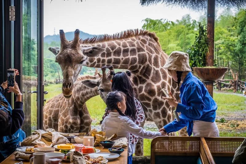 湄公河旅游旗下湖州长颈鹿庄园斩获2025“游乐界•金冠奖”杰出亲子乐园奖(图3)