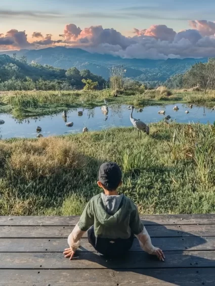 湄公河旅游旗下湖州长颈鹿庄园斩获2025“游乐界•金冠奖”杰出亲子乐园奖(图5)