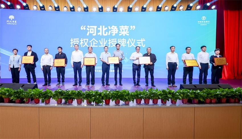 全国农产品产销对接助力乡村振兴（京津冀）活动在河北青县举办(图10)