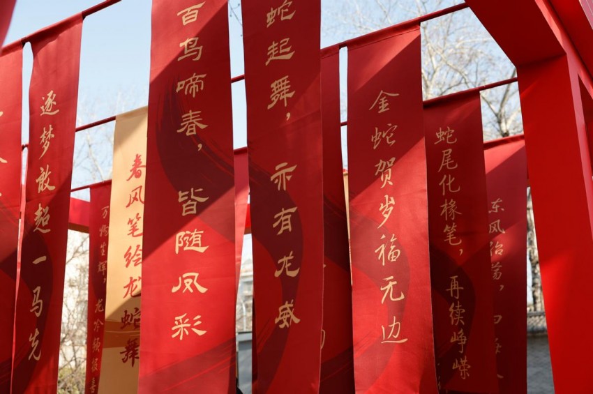 2025年龙潭庙会：品京味儿文化 拍照打卡不能停(图4)