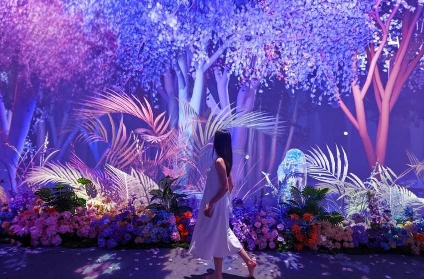 鹤舞樱飞向未来 十有城市展画卷——第十一届鹤壁樱花季全景扫描(图4)