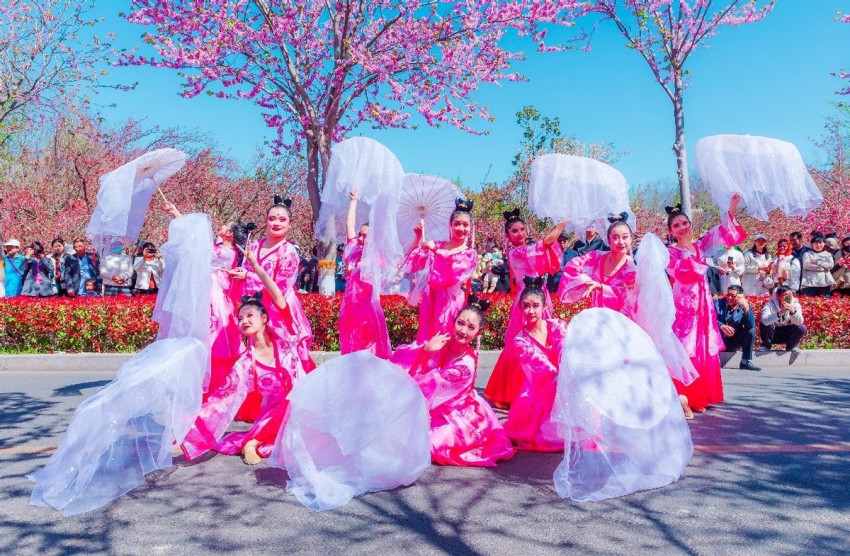 鹤舞樱飞向未来 十有城市展画卷——第十一届鹤壁樱花季全景扫描(图5)