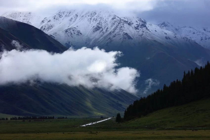 在伊犁穿越天山画廊,看独库公路“一路生花”(图2) 在伊犁穿越天山画廊,看独库公路“一路生花”(图2)